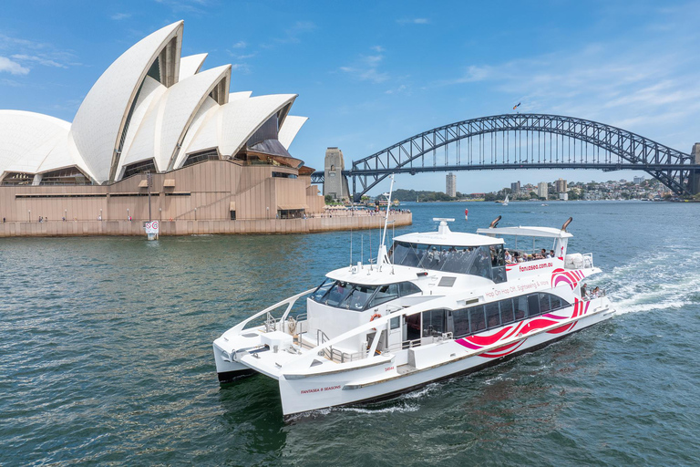 Sydney Harbour & Fish Market Sightseeing Cruise