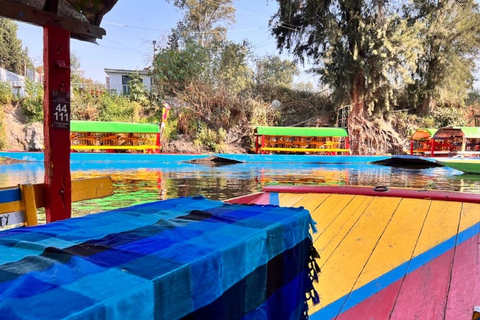 Musique et tequila à Xochimilco, visite de Coyoacán et CUMusique et Tequila à Xochimilco visite Coyoacán et CU