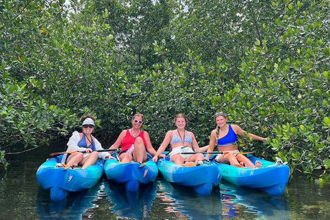 Key West: 2-hour Mangrove Kayak Tour Single