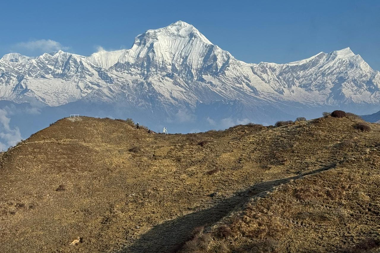 A Journey through Nepal: 12 Days of Trekking and Exploration