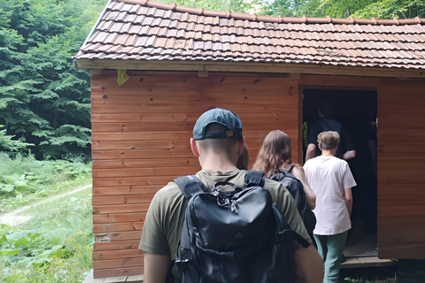 Brașov: 4-Hour Bear Watching Tour in Carpathian Mountains