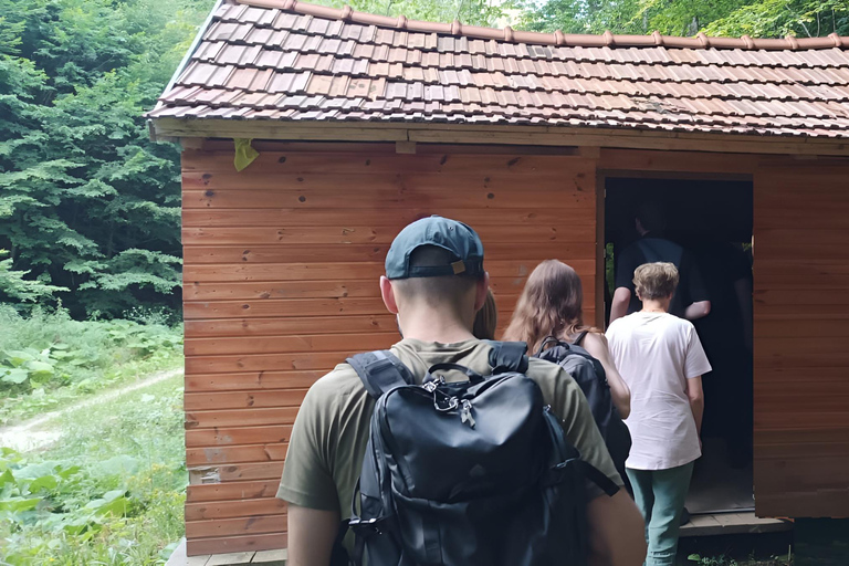Brașov: 4-Hour Bear Watching Tour in Carpathian Mountains
