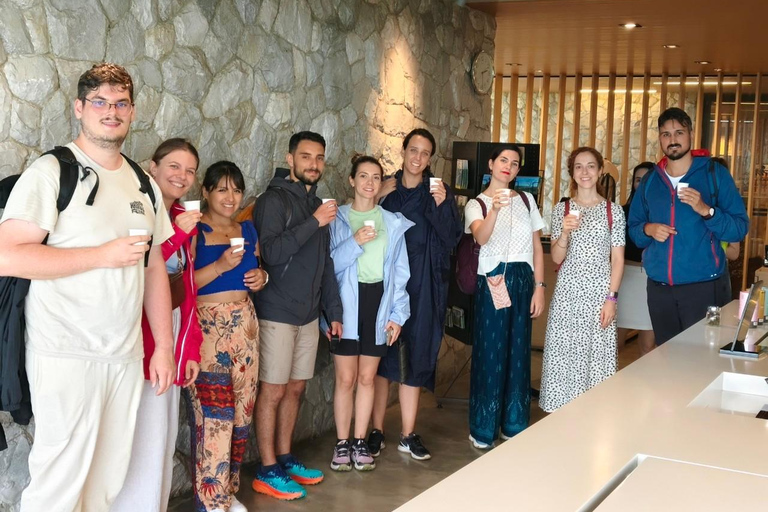 Chiang Rai:Guided Highlights Full-Day Tour-FREE LUNCH BUFFET Experience the Wonders of Chiang Rai with Free Thai Buffet