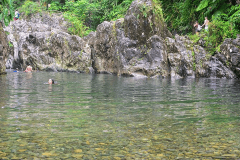 Excursion d'une journée dans la forêt tropicale d'El Yunque avec transport