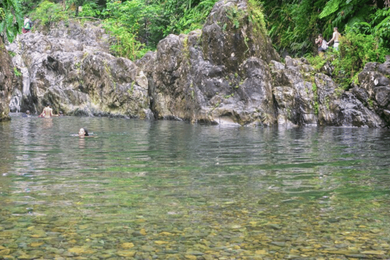 Excursion d'une journée dans la forêt tropicale d'El Yunque avec transport