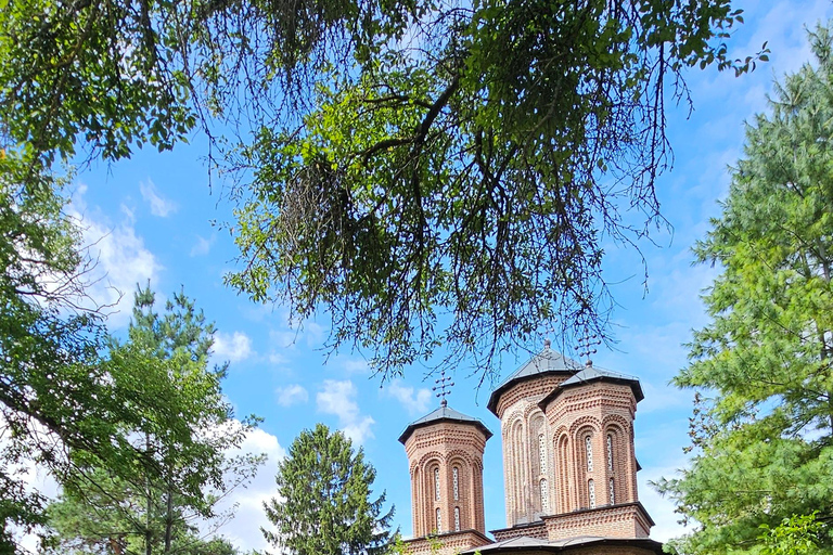 Bucharest: Salt Mine & Dracula's Tomb Day Trip