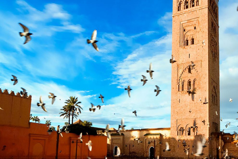 5 Days tour from Tangier to Marrakech via Rabat, Casa & Fes