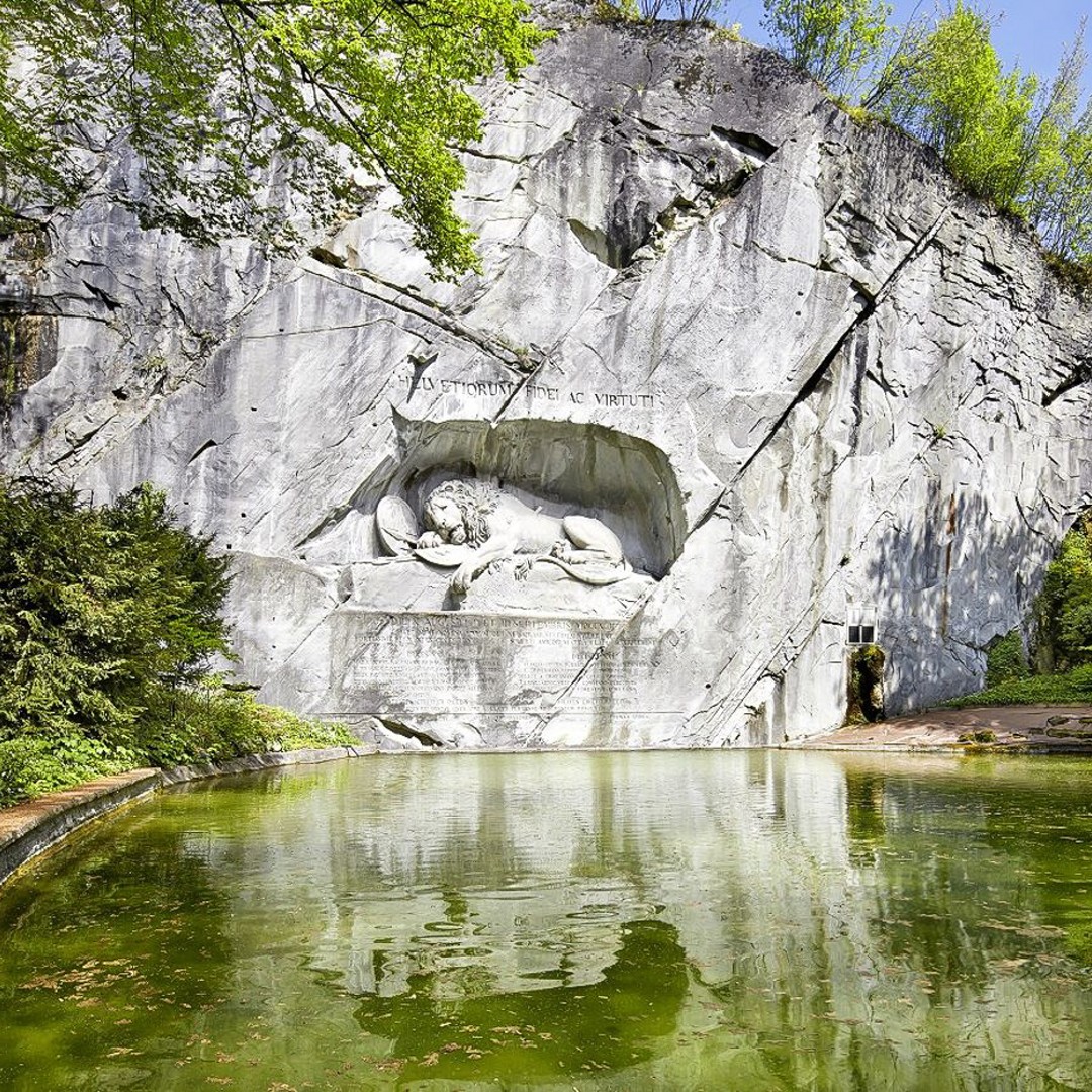 Galería de fotos para redes