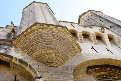 O melhor de Avignon: excursão a pé com um guia localExcursão a pé privada pela cidade - 3Hr