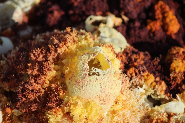 5-Days Afar and Awash National Park Tour