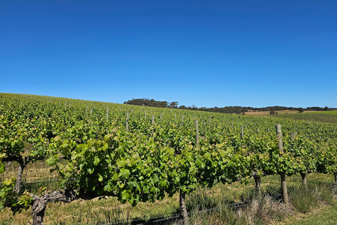 Tour de vinhos em McLaren Vale e na histórica Hahndorf