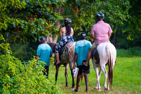 Zanzibar: Horseback Riding Experience