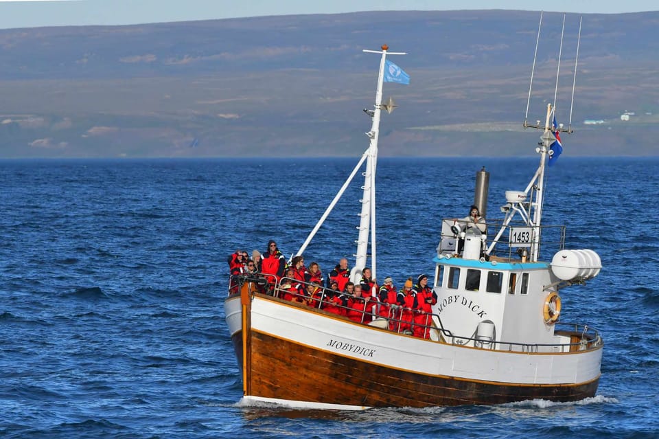Húsavík, visite d'un bateau d'observation des baleines - Hizvo