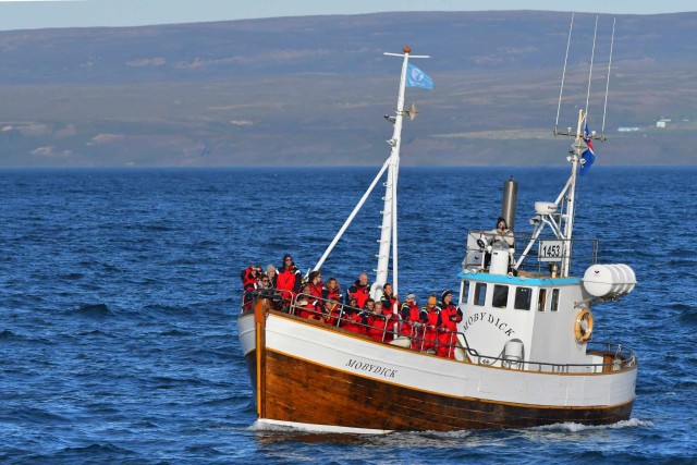 Húsavík: Boottocht walvissen kijken