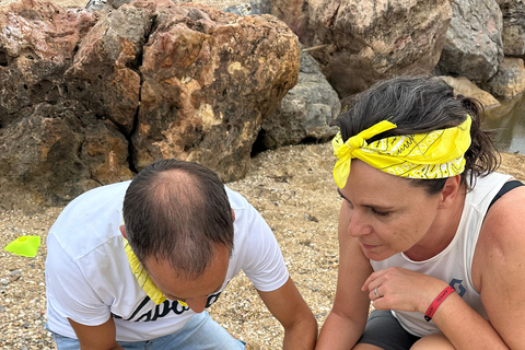 Adventure Game in Provence