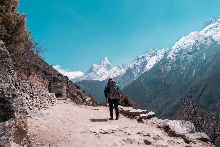From Pokhara: 7-day Khopra Trekking Adventure The Khopra Trek Adventure with Guide.