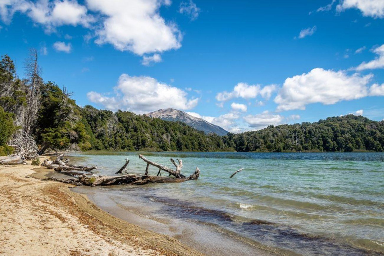From Bariloche: Victoria Island & the Arrayanes Forest Tour Victoria Island and Arrayanes Forest with Transfers