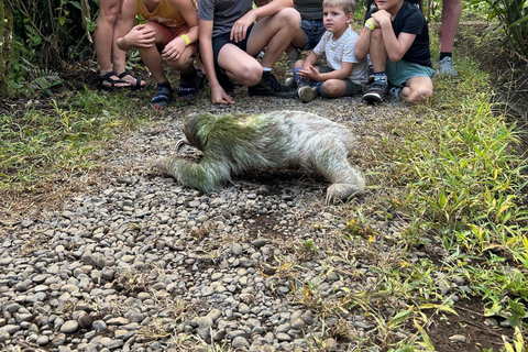 Guanacaste: Sloth Sanctuary and Waterfall Adventure