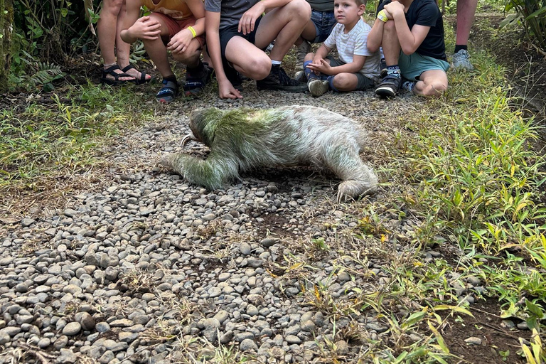 Guanacaste: Sloth Sanctuary and Waterfall Adventure