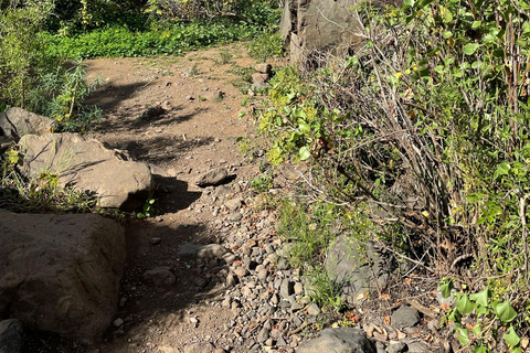 Gran Canaria: excursie naar de Barranco de los CernícalosGran Canaria: trip naar de Barranco de los Cernícalos