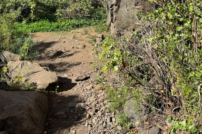 Gran Canaria: excursie naar de Barranco de los CernícalosGran Canaria: trip naar de Barranco de los Cernícalos