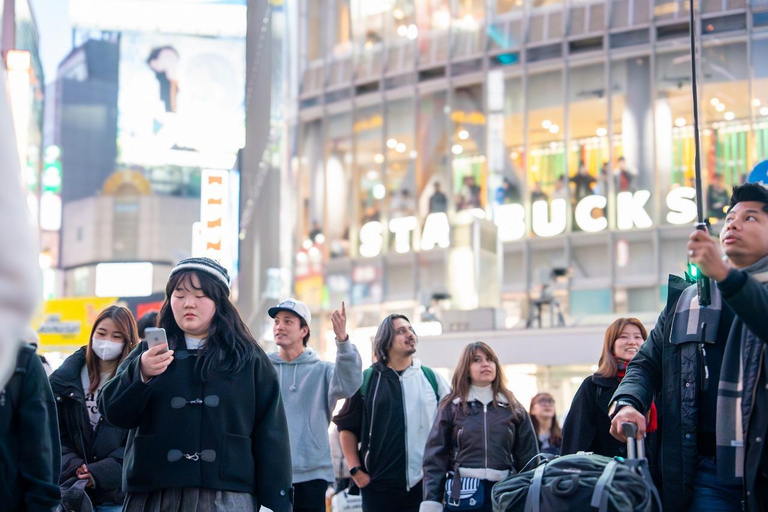 Tokyo: 1-dagars höjdpunkter med privat bil och guide