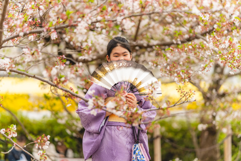 Kyoto: Private Tour with Local | Choose from 2,4,6 Hours 4 Hour Private Tour Option