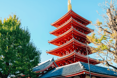 Japon : visite guidée de 7 jours avec hébergement à l&#039;hôtel