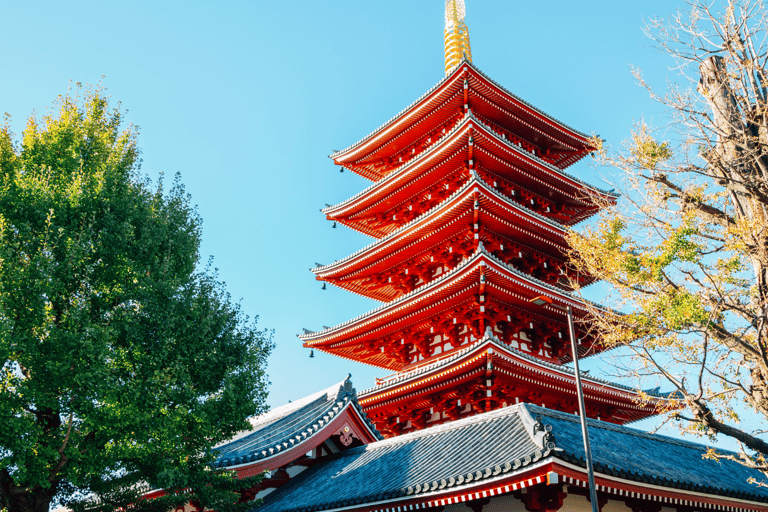 Japón: tour guiado de 7 días con alojamiento en hotel