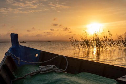 Albufera : tour en bateau avec dégustation de vins de Valence et de tapas