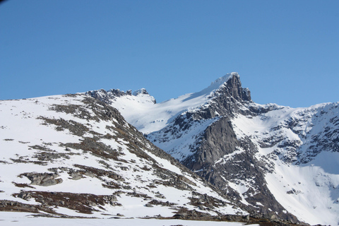 Tromsø: Small group Fjord Adventure, by Local Small group Fjord Adventure, with Local!