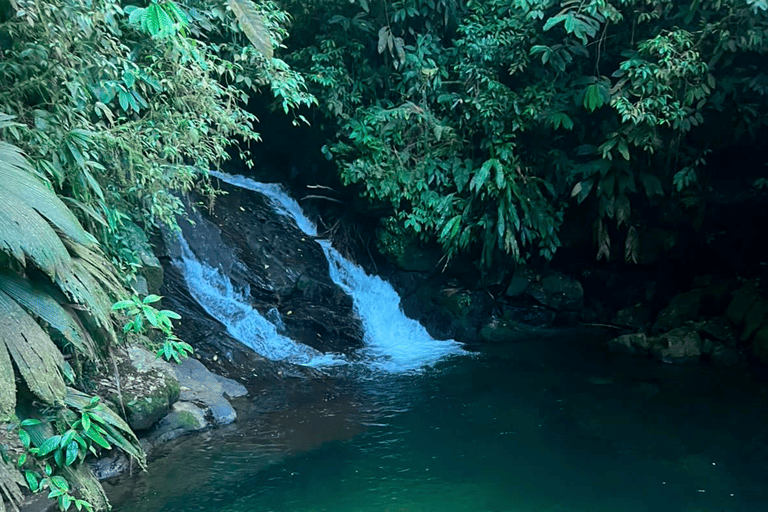 Depuis Medellín : expérience en 4x4 jusqu&#039;aux cascades de la rivière Melcocho