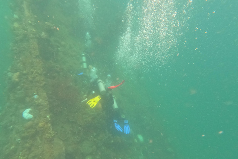 RIF EN WRAK - JAPANSE WWII EN SNORKELEN IN KORAALTUIN