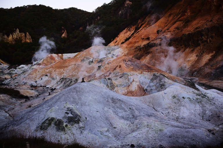Hokkaido Swan Lake & Noboribetsu Hell Valley Private tour