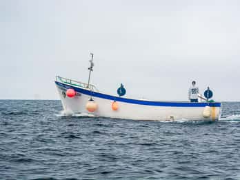 São Miguel: Bootsfahrt entlang der Küste in einem traditionellen Boot
