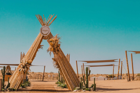 Dubai: Sonara Camp Sunset and Dinner, Shows, and Activities High Season with Pick & Drop (Shared Transfer)
