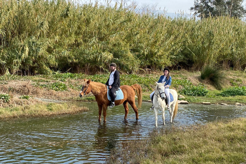 Málaga: Guided tour on horseback in the Guadalhorce ValleyMalaga: Guided tour on horseback through the Guadalhorce Valley in English