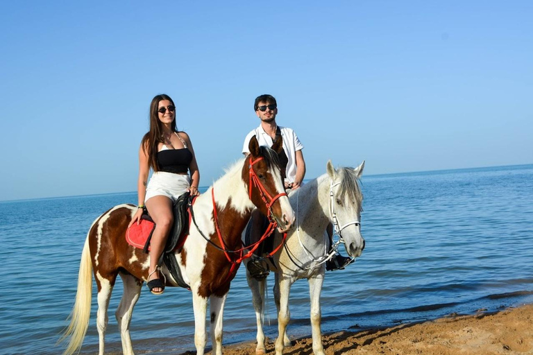 Hurghada: 1 HR Red Sea Swimming with Horses with Transfers Exclusive Family Package – 1 HR with Swimming & Transfers