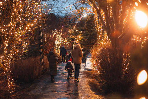 Depuis Reykjavík : Marché de Noël et visite en voiture des Yule Lads