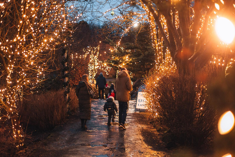 Depuis Reykjavík : Marché de Noël et visite en voiture des Yule Lads