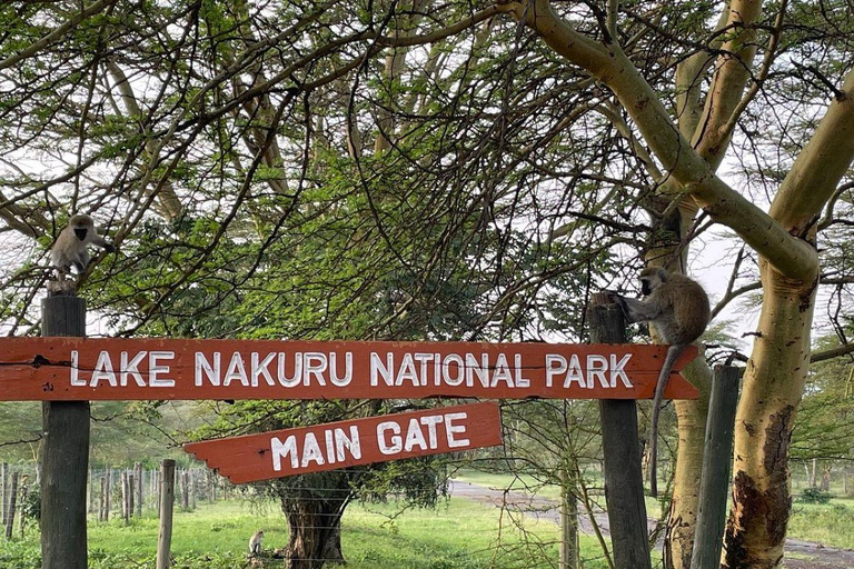 Escursione di un giorno al Parco Nazionale del Lago Nakuru da Nairobi