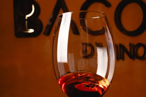São Paulo: Degustação de vinhos com um especialista