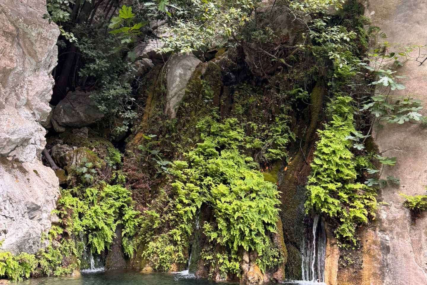 Kemer: Göynük Canyon Tour