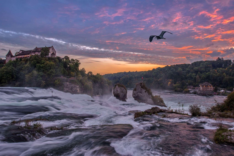 من زيورخ: جولة لنصف يوم في شلالات الراين وشافهاوزن