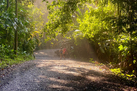 Manuel Antonio Park: Geführter Rundgang mit einem NaturalistenPrivate Tour