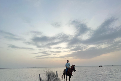 Horse Riding in Jeddah