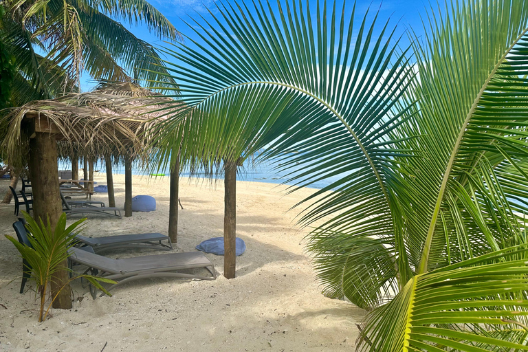Fiji: Captain Cook Cruises - Day and Dinner Combo
