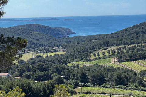 Saint-Cyr-sur-mer: guided hike to the Sand Dune