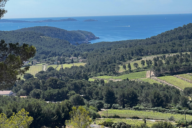 Saint-Cyr-sur-mer: guided hike to the Sand Dune