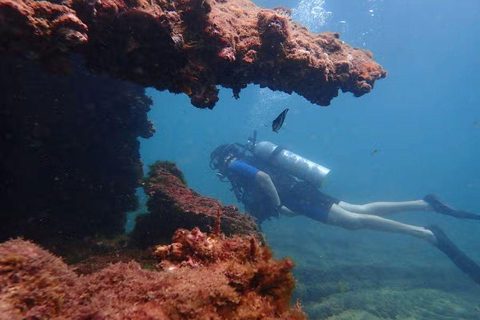 Salvador: Saída Embarcada para Mergulho em Naufrágio